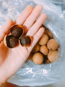 ขายชาลำไยตากแห้งผลไม้อบแห้งจากเวียดนาม - Product Image 6