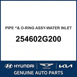 ชุดท่อและโอริงของแท้ใหม่-W OEM 254602G200 - Product Image 1