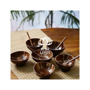 Bol en Coque de Noix de Coco Écologique Disponible – Vaisselle pour Service Alimentaire et Présentation de Desserts avec Matériaux Sûrs pour les Acheteurs Professionnels - Product Image 1