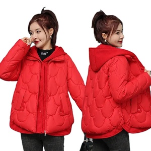 2024 abrigos de moda estilo suelto cómodo Abrigo acolchado chaqueta de mujer Parkas chaquetas cálidas abrigo Casual nueva ropa de invierno - Product Image 1