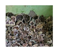 Lot de spécimens minéraux naturels rares en améthyste violette et apophyllite, géodes, grappes de cristaux uniques pour la décoration intérieure et la méditation