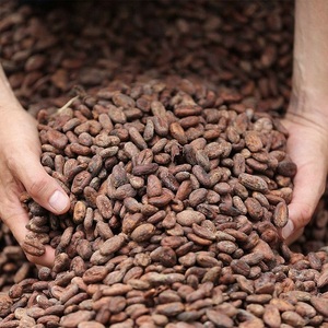 Granos de Cacao para la Producción de Chocolate con Aroma Natural a Cacao, Variedad ARIBA, Alta Calidad, 25 kg para Confitería - Product Image 6