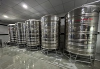 Système de traitement de l'eau par osmose inverse industrielle avec PLC et réservoir sous pression 10000L/heure