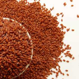 Aceite de Semillas de Garden Cress Halim Asaliya |   Proveedor Mayorista de Aceites Portadores Premium, Fabricante de Marca Privada OEM - Product Image 5