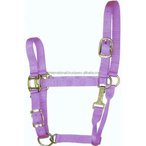 Triple Ply 100% Nylon Webbing Lavender horse halter with luxury Golden hardware Nylon Halter horse custom sizes available - Product Image 4