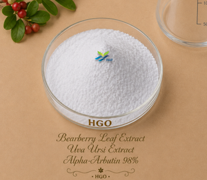 HGO Factory Fourniture directe d'extrait de feuille de busserole naturel pur extrait d'Uva Ursi Alpha-Arbutine 98% (extrait standardisé) - Product Image 1