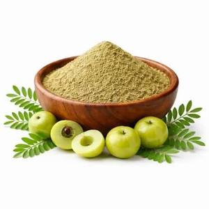 100% pure organic amla Premium grade Amla Powder High Quality Gooseberry Powder Natural Health Food Clean <b>Label</b> Production - Product Image 6