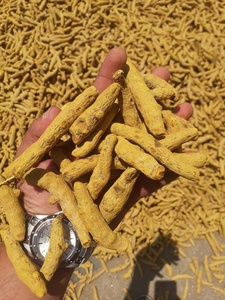 Cúrcuma en Rodajas Enteras Secas de Alta Calidad EXPORT DESI, Mezcla de Hierbas Naturales, Duración de 12 Meses - Product Image 6