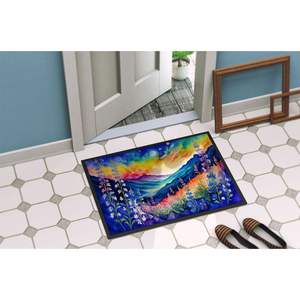 Delphinium Paillasson intérieur/extérieur antidérapant coloré 24H X 36W Tapis de porte avant lavable à poils bas pour entrée - Product Image 4