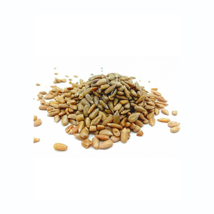 เมล็ดทานตะวันราคาถูก จัดส่งรวดเร็ว ขายส่งจำนวนมาก เมล็ดสด - Product Image 2