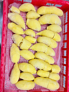 Crème glacée minimaliste et lisse au durian surgelé, garniture pour pâtisseries, pour les boutiques de desserts, exportation en gros du Vietnam pour les acheteurs de services de traiteur - Product Image 4