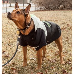 Chaqueta de Esquí para Mascotas Pinnacle Mount, Ropa de Nieve Cómoda y Elegante para tu Amigo Peludo - Product Image 6