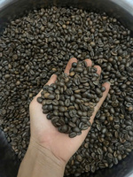 Grains de café Arabica torréfiés moyennement, acidité équilibrée, arrière-goût sucré, parfaits pour le café filtre et les cafetières à goutte.