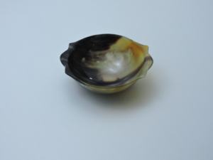Cuenco decorativo de cuerno de búfalo auténtico con diseño único, cuenco para servir, cuenco para ensalada, a un precio muy asequible. - Product Image 2