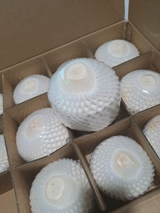 Coco Diamante Entero FRESCO de Primera Calidad, Estándar de Exportación, con Cáscara, Común, 870g 900g, Calidad Vietnamita, Bebida Tropical Natural y Saludable - Product Image 5