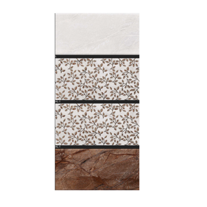 Collection de carreaux en céramique ignifuges 300x600 en Inde - Product Image 3