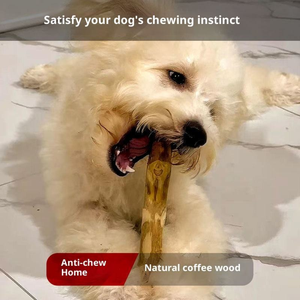 Disponible: Madera de café sostenible para masticar para perros, juguete natural y duradero para mascotas, para la eliminación de placa, alivio del estrés y ejercicio de mandíbula. - Product Image 4