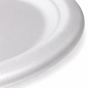 Assiette jetable en bagasse blanche de 10 pouces, robuste, biodégradable, compostable, compatible micro-ondes, pour les mariages et les plats à emporter - Product Image 2
