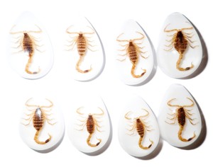 Golden Scorpion Real Specimen Plastic Cabochon Pear Shape Cut <b>Top</b> 33x22 mm White Flat Bottom for Crafts and Jewelry Making - Product Image 6