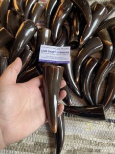 Punta de Cuerno de Búfalo Natural, Color Natural, Alta Calidad - Product Image 4