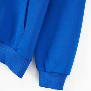 Sweat-shirt à capuche bleu pour homme, coupe classique, en molleton de coton, pull décontracté, couleur unie, avec poche, idéal pour l'automne - Product Image 4