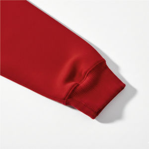 Sudadera con Capucha de Invierno Personalizada con Logotipo, Multicolor, 100% Algodón, con Cuentas, Talla Grande, Unisex, Diseño Sólido para Venta al Por Mayor - Product Image 5