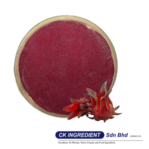 Top Sale Roselle Extract Powder Premium Quality Halal OEM B2B <b>Best</b> Supplier Guarantee Natural Red Color Antioxidant Juice Mix - Product Image 2