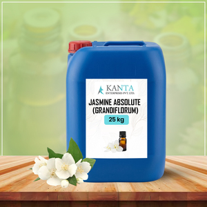Aceite Absoluto de Jazmín Grandiflorum, Extracto Natural Puro, Fabricante de la India, Proveedor Mayorista a Granel al Precio Más Bajo - Product Image 4