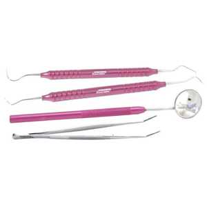 Kit de Examen Dental Premium de 4 Piezas, Espejo de Acero Inoxidable, Explorador, Pinzas, Juego de Instrumentos Dentales de Diagnóstico Básico, CE Salaar - Product Image 1