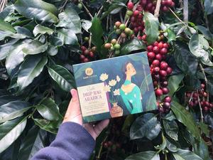 Sachets de café instantané Hancoffee 100% Arabica, emballage personnalisé, 10g/sachet, boîte en vrac, expédition immédiate - Échantillon gratuit - Product Image 5