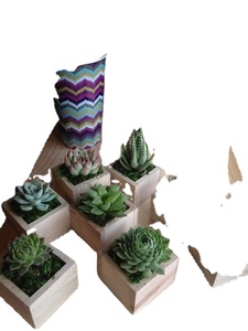 Maceta de madera de pueblo, maceta Wishing Well, decoración de jardín de patio trasero, macetas creativas de madera, macetas de flores de corteza de abeto, jardín - Product Image 6