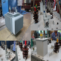 Transformateur redresseur immergé dans l'huile 10/0,4 kV, norme IEC, avec changeur de branche hors circuit, pour équipement de redressement industriel