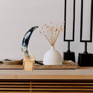 Corne de buffle naturelle artisanale pour décoration intérieure, pièce maîtresse pour salon, salle de séjour, décoration de la maison au meilleur prix - Product Image 4