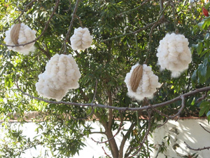 Fibre de Kapok Naturelle en Gros pour Remplissage d'Oreillers |   Oreillers en kapok de qualité supérieure en gros |   Remplissage durable à base de plantes végétales - Product Image 6