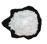 Poudre de Dolomite Qualité Industrielle, Remplissage Minéral, Dégraissant, Matière Première, Approvisionnement en Vrac, Pureté 95-99%, Granulométrie 200-2500 Mesh, CaO