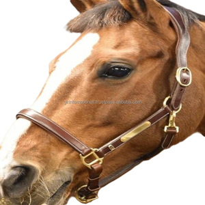 En gros, best-seller : Collier de tête en cuir pour cheval avec plaque nominative en laiton, tailles personnalisées, et quincaillerie réglable pour collier de cheval - Product Image 3