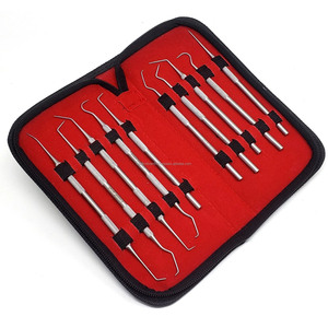 Lot de 10 outils de nettoyage dentaire, kit d'hygiène buccale, détartreur en acier inoxydable, certifié CE ISO, meilleur fournisseur en gros OEM ODM - Product Image 3