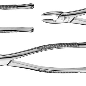 คีมถอนฟัน # เครื่องมือผ่าตัดถอนฟันแบบอเมริกัน ทำจากสแตนเลส 1S ใช้ซ้ำได้ ฆ่าเชื้อได้ด้วยหม้อนึ่ง - Product Image 5