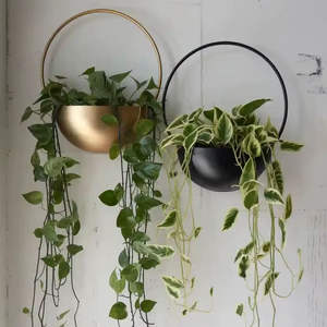 Pot de fleurs mural moderne de luxe en métal, demi-lune, rond, doré et noir, pour la décoration de la maison et du jardin, vente en gros - Product Image 4