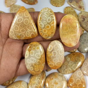 Coral fossile naturel, pierre semi-précieuse, cabochon, en vrac, pour la fabrication de bijoux, vente en gros - Product Image 1