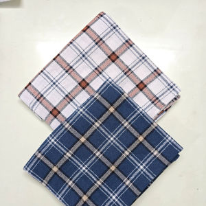 Tissu de chemise en coton peigné teint en fil à carreaux Dobby de qualité supérieure, tissé, fournisseur mondial pour robes - Garçons et Filles - Product Image 1