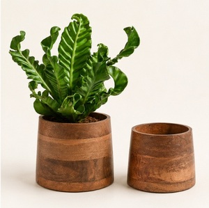 Juego de Macetas de Madera de Mango Sostenible Hechas a Mano, Macetas Decorativas Redondas Ecológicas para Interiores, Oficina y Decoración Moderna del Hogar - Product Image 1