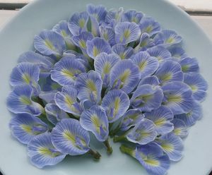 Premium Dried Butterfly Pea Flowers Natural Blue Petals For Beverage Processing Tea Production Bulk Wholesale Vietnam Supply - Product Image 1