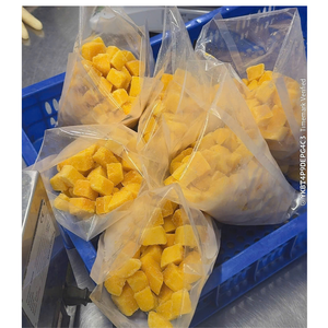 มะม่วงแช่แข็งพรีเมียมจากเวียดนามสำหรับขายส่งและจัดหาจำนวนมาก - Product Image 5