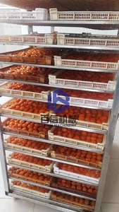 Usine directe mangue déshydrateur épice gingembre ail séchage Machine PLC moteur noyau four équipement pour fruits légumes séchage - Product Image 6