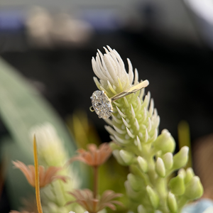 Women's 1.00 Carat Oval Cut Lab Grown Diamond Twist Ring 14k Yellow Gold Rhodium Plated Luxury IGI Certified E Colour VVS2 - Product Image 2