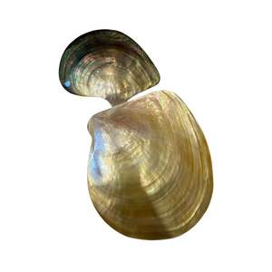 Vaisselle de luxe pour le thé de l'après-midi, assiette en nacre effet coquille d'huître super brillante pour gâteau et caviar - Product Image 4