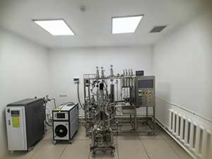 Bailun 100Ltypes bioréacteurs bio réacteur de vaccin bulle colonne fermentation bioréacteur BLBIO-SCUC - Product Image 6