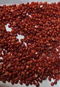 Coral rouge italien ovale, taille mm, meilleure qualité, belle couleur, pierre précieuse, pierre précieuse en vrac pour la création de bijoux - Product Image 3