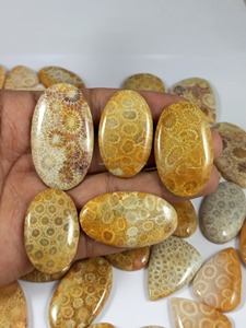 Prix de gros : Cabochons de corail fossile faits à la main pour la fabrication de bijoux, pierres de guérison en cristal, approvisionnement en vrac - Product Image 3